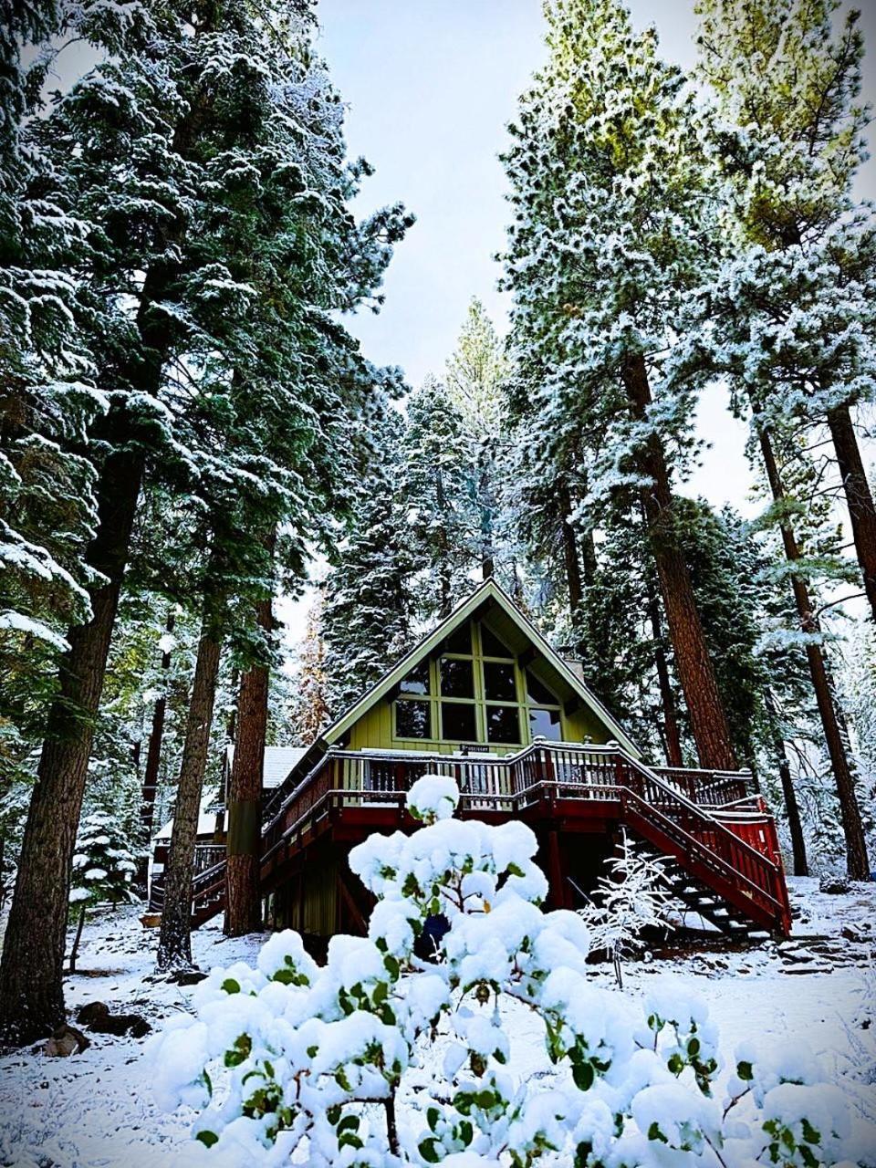 The Honey Bear Cabin Carnelian Bay Exterior photo
